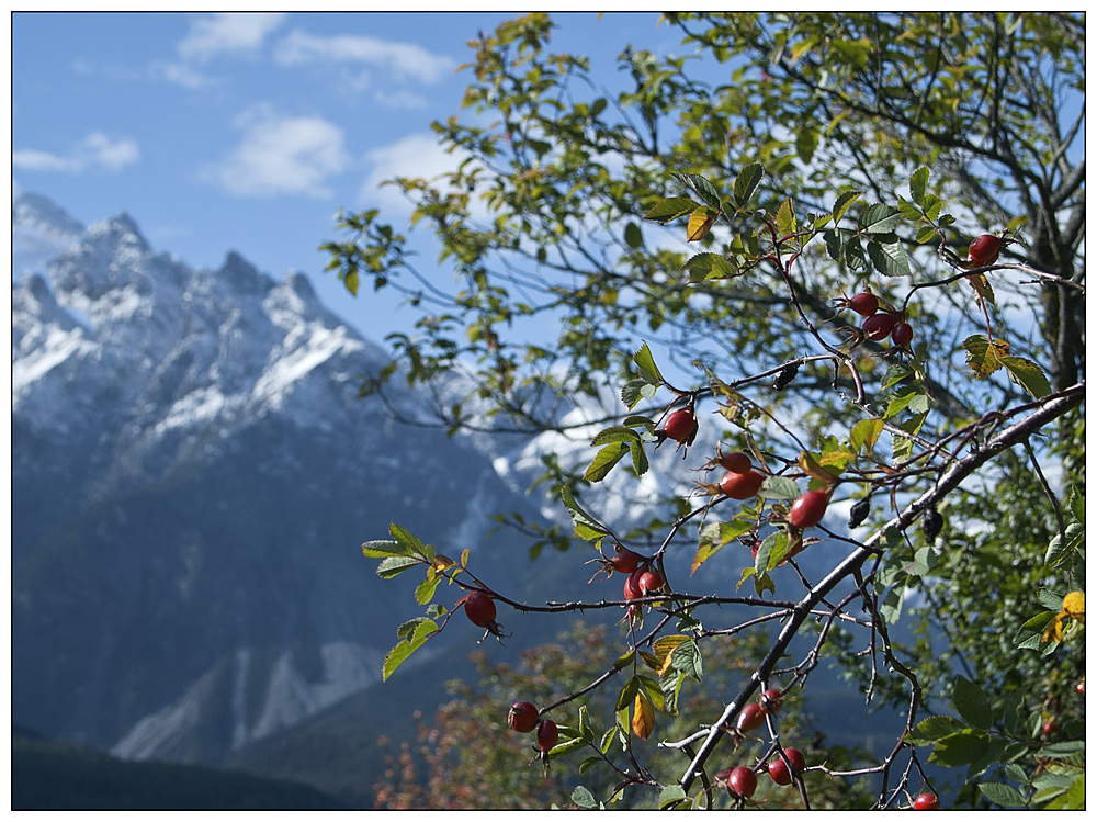 Herbstimpression