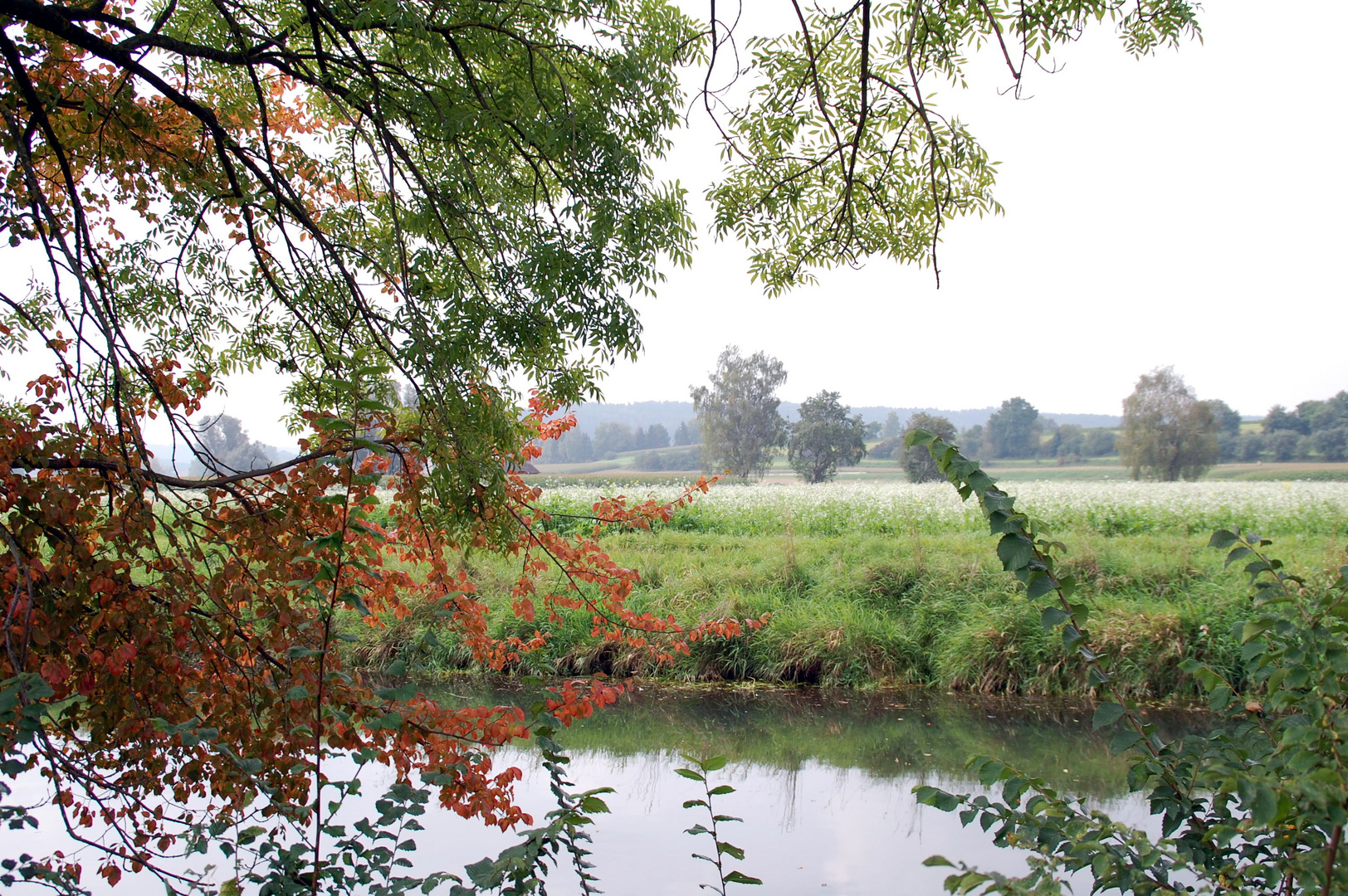 Herbstimpression