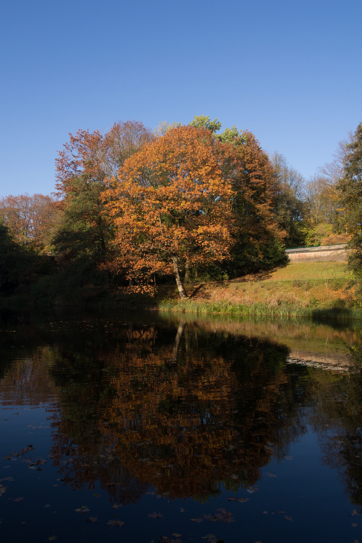 Herbstimpression