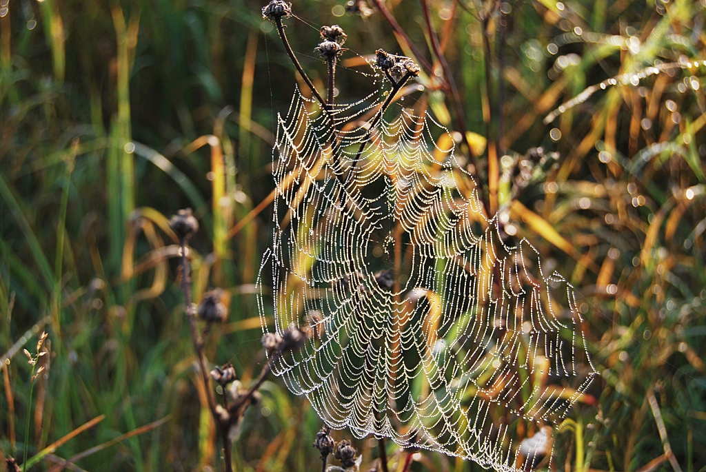 Herbstimpression