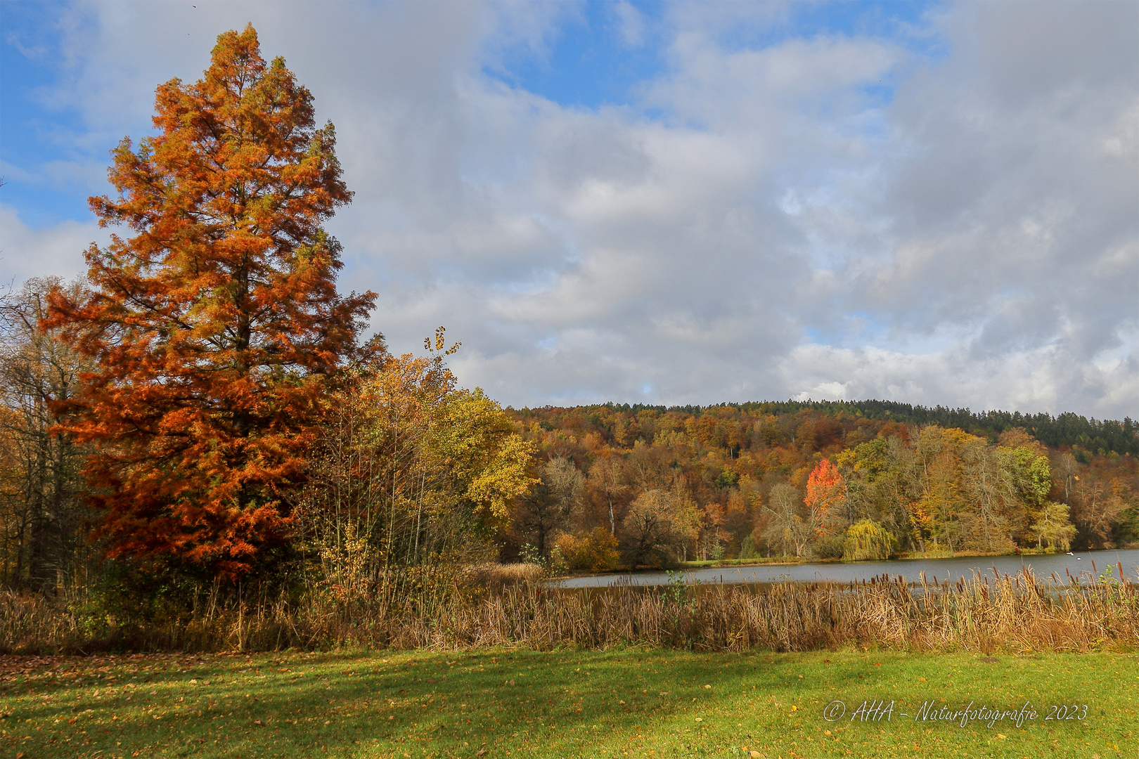 Herbstimpression - 4