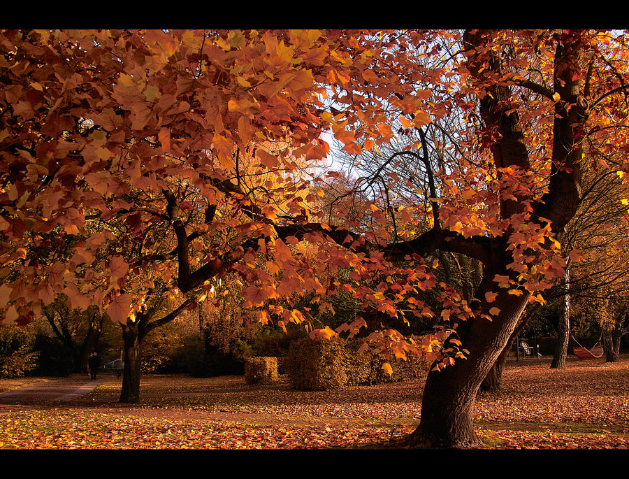 Herbstimpression