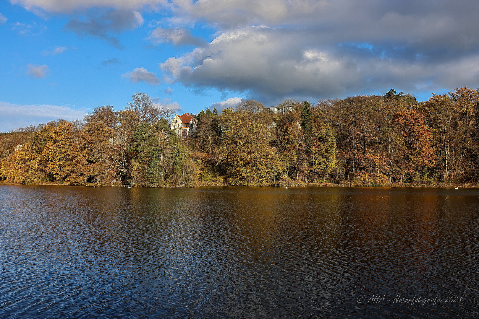 Herbstimpression - 5