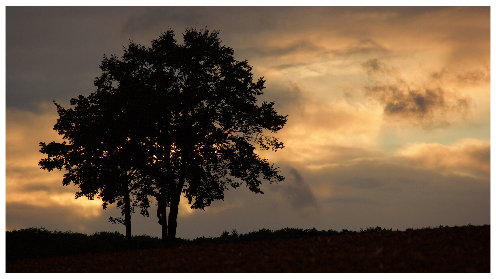 Herbstimpression