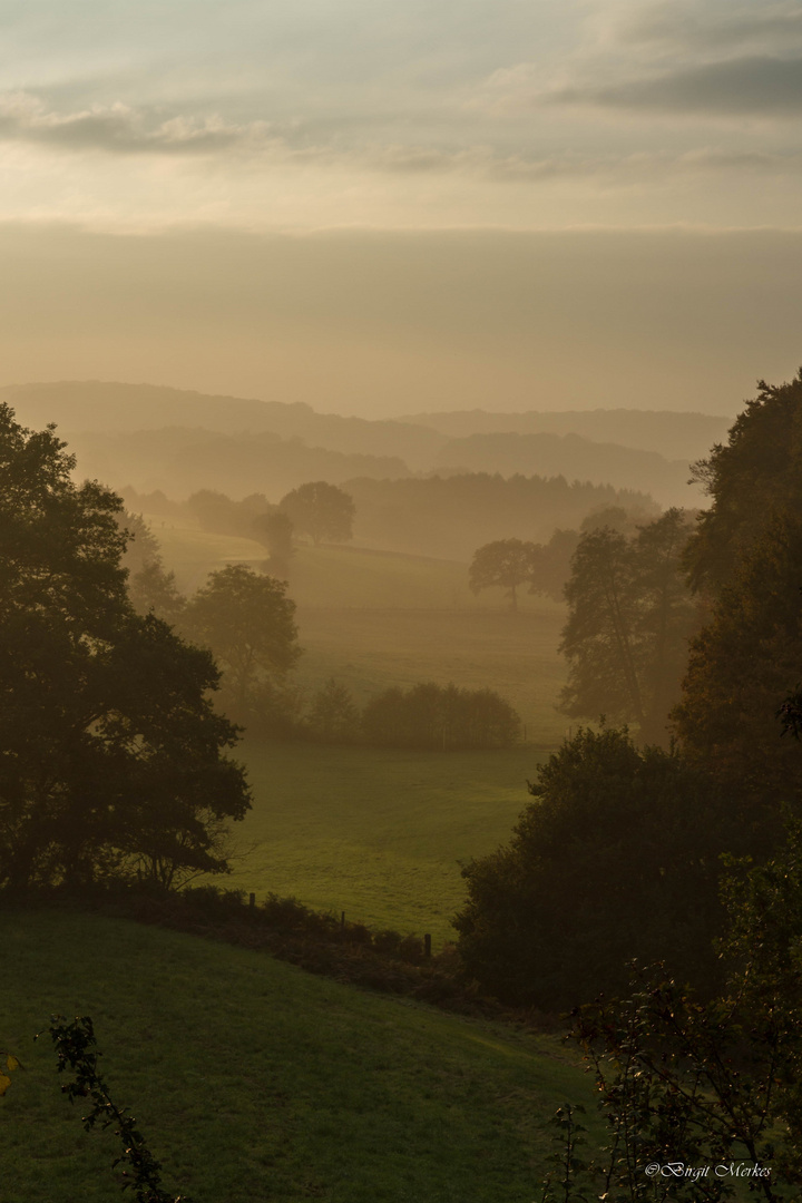 Herbstimpression