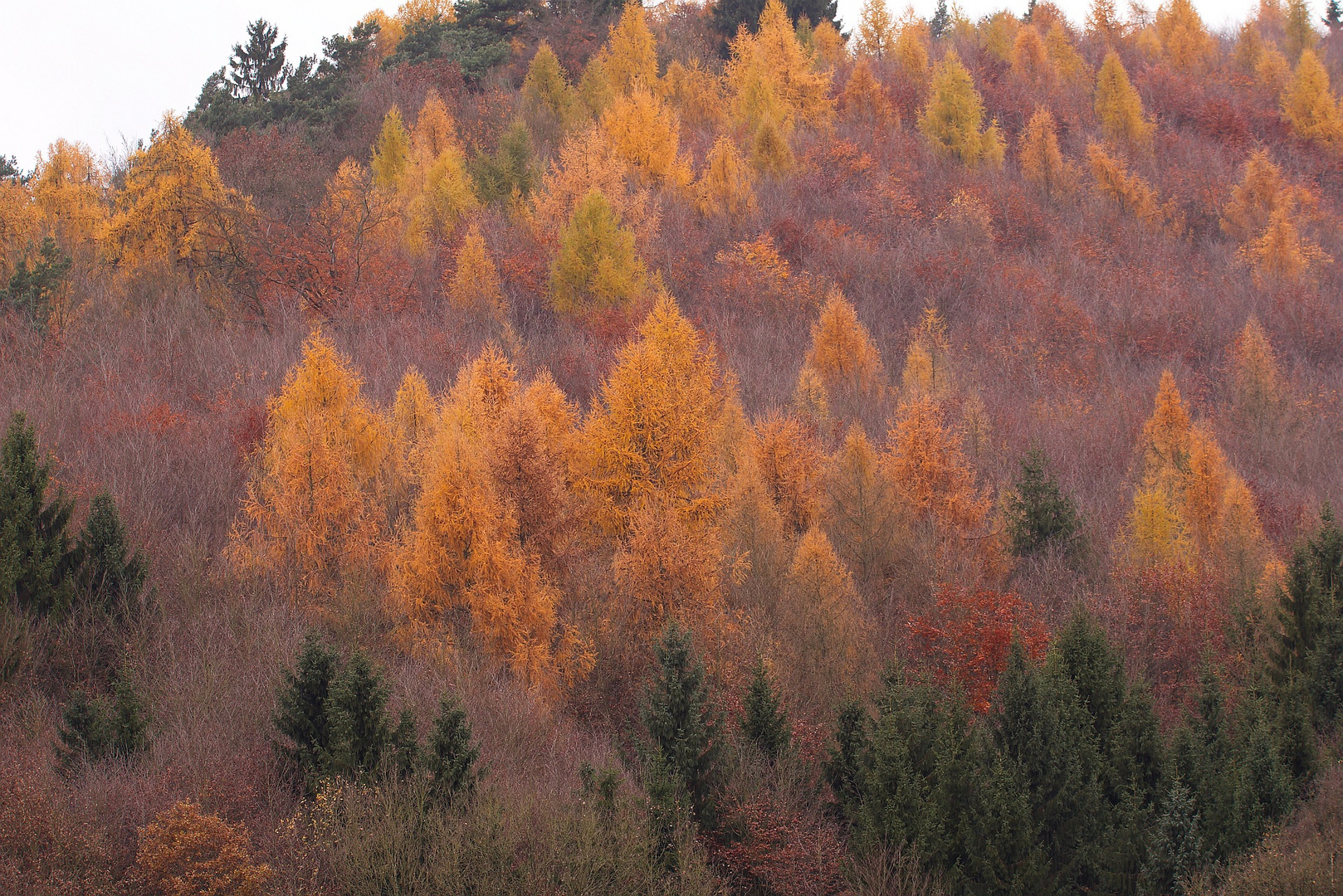 Herbstimpression