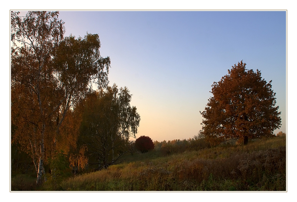 Herbstimpression