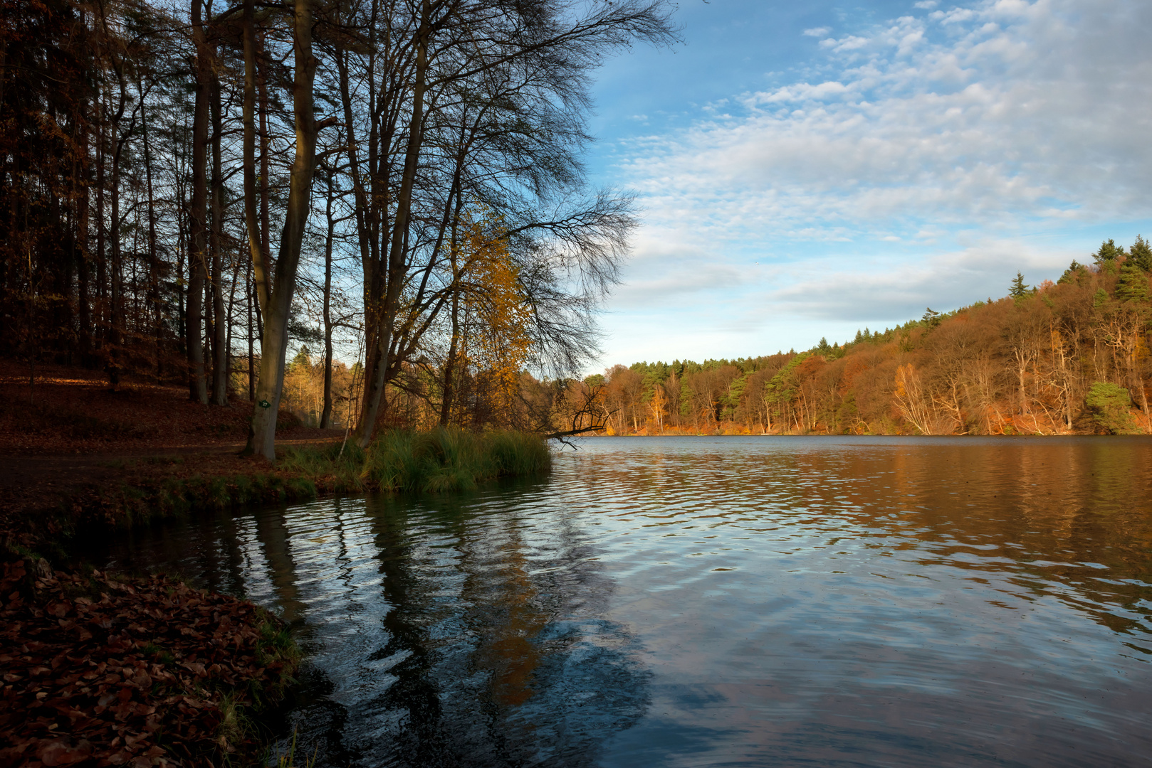 Herbstimpression