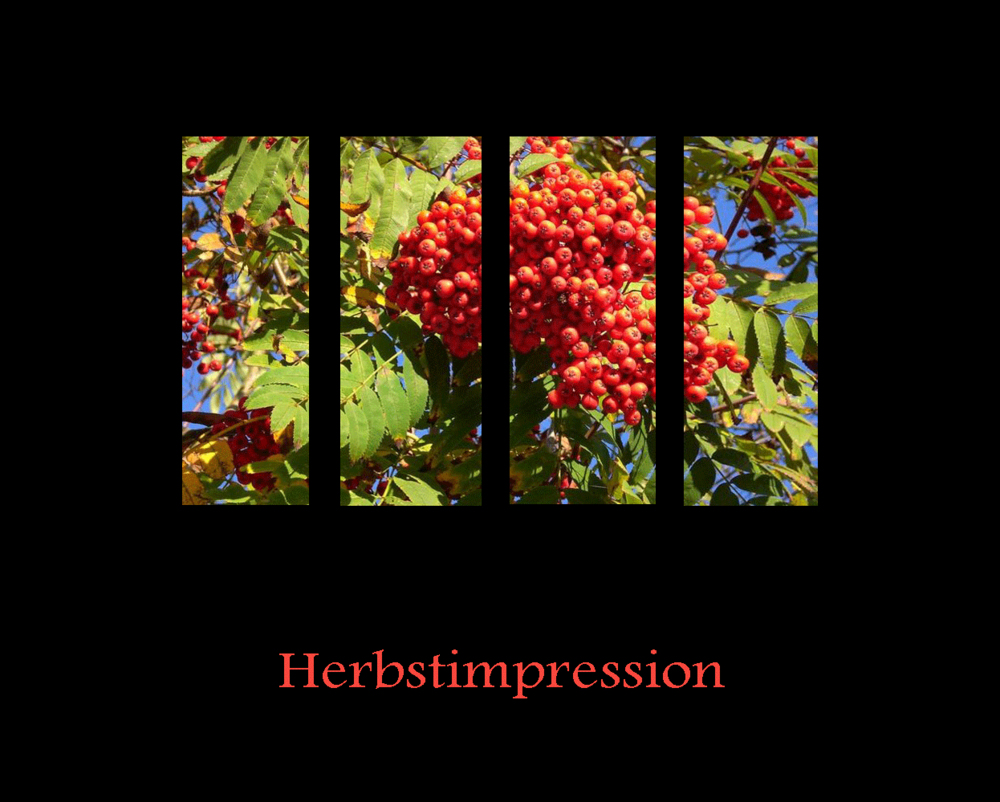 Herbstimpression