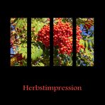 Herbstimpression