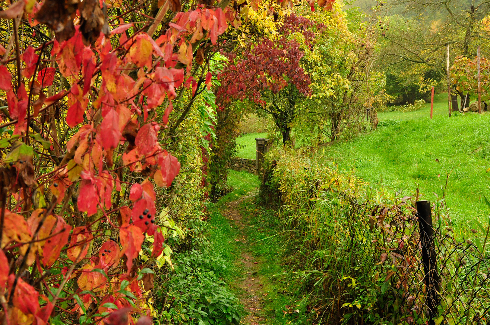 Herbstimpression