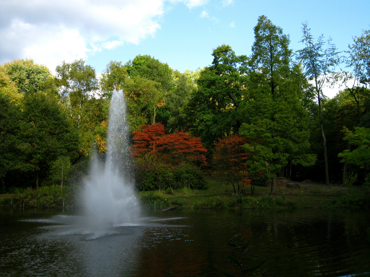 Herbstimpression