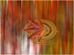 Herbstimpression...