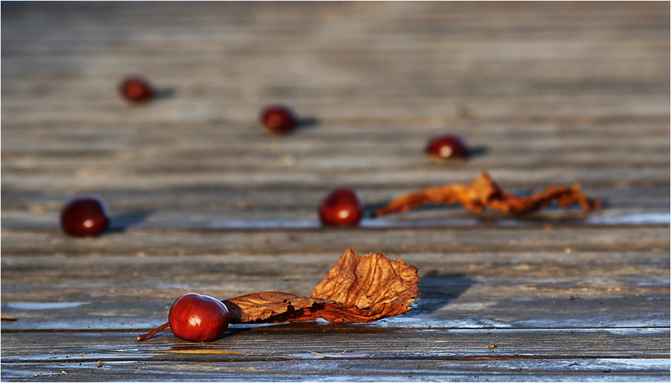 Herbstimpression