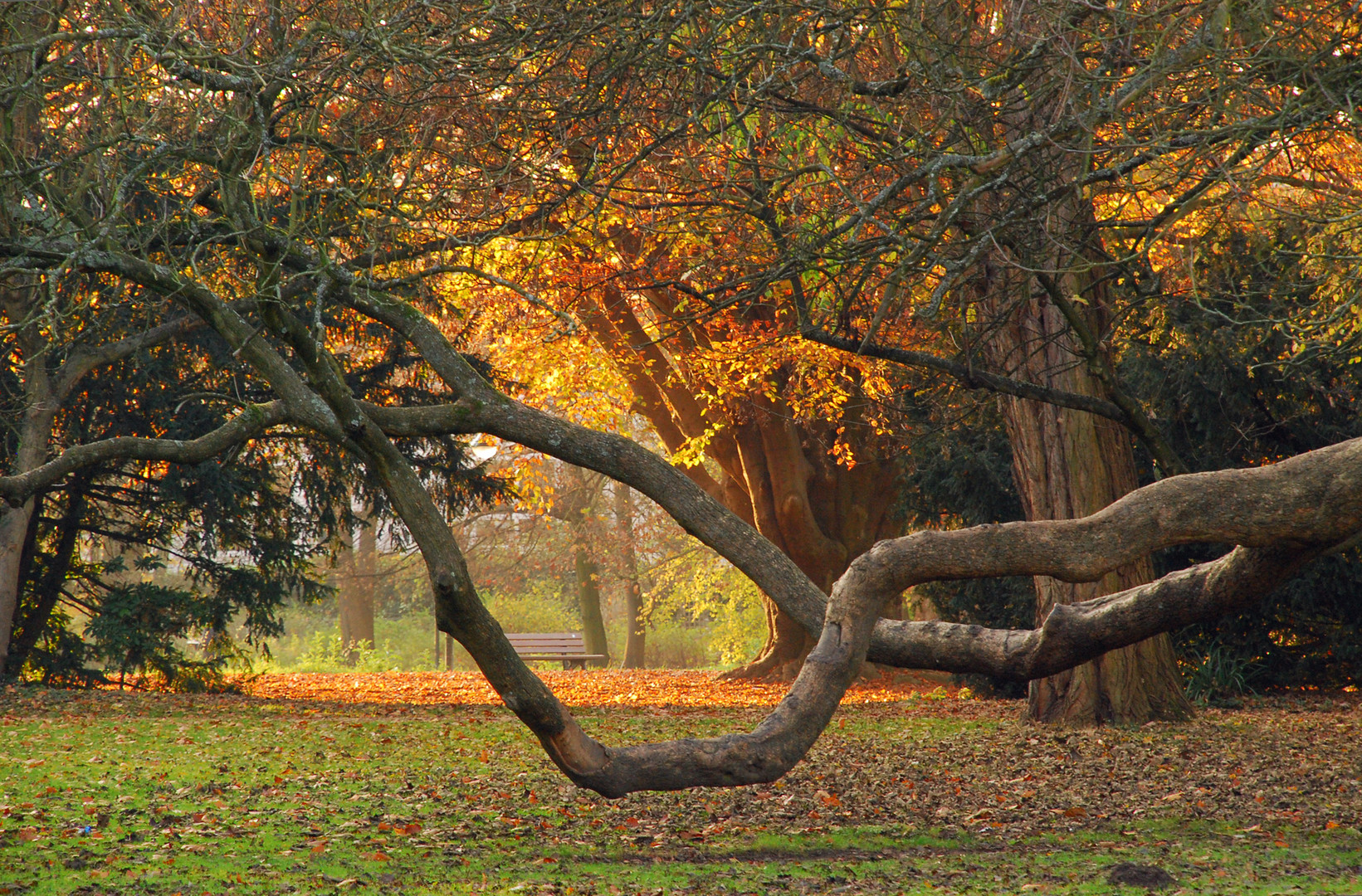 Herbstimpression