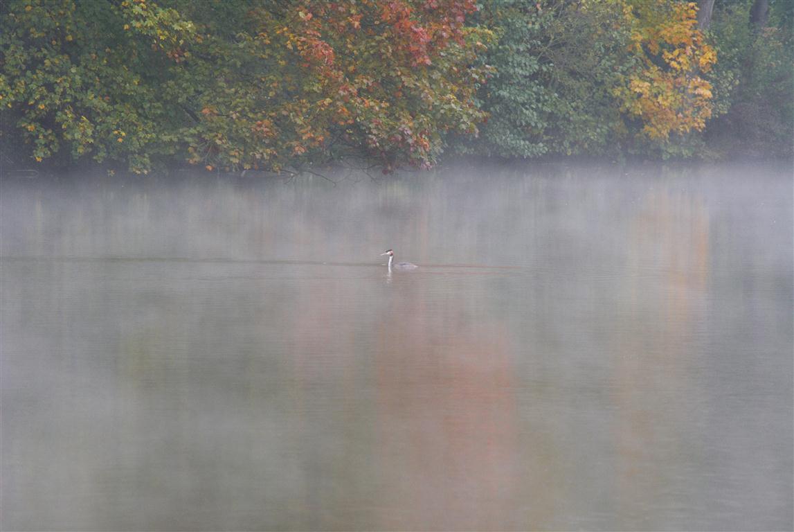 Herbstimpression