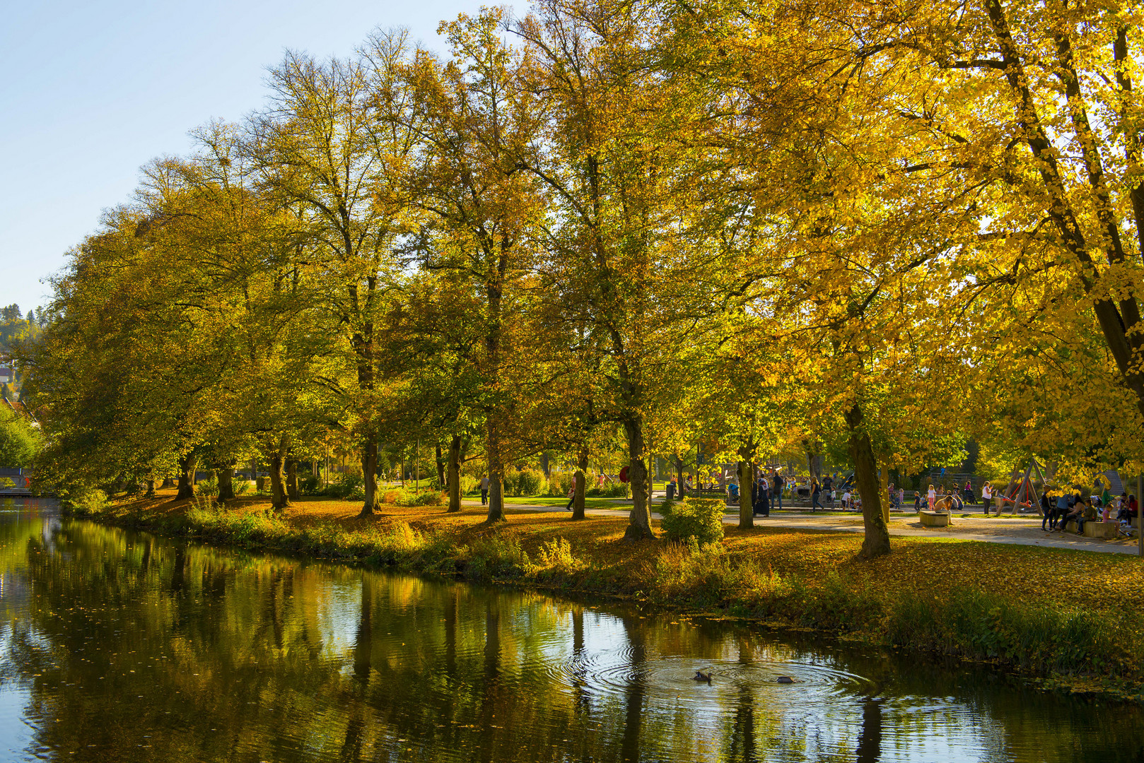 Herbstimpression