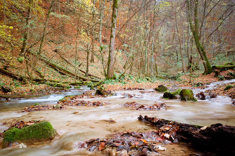 Herbstimpression