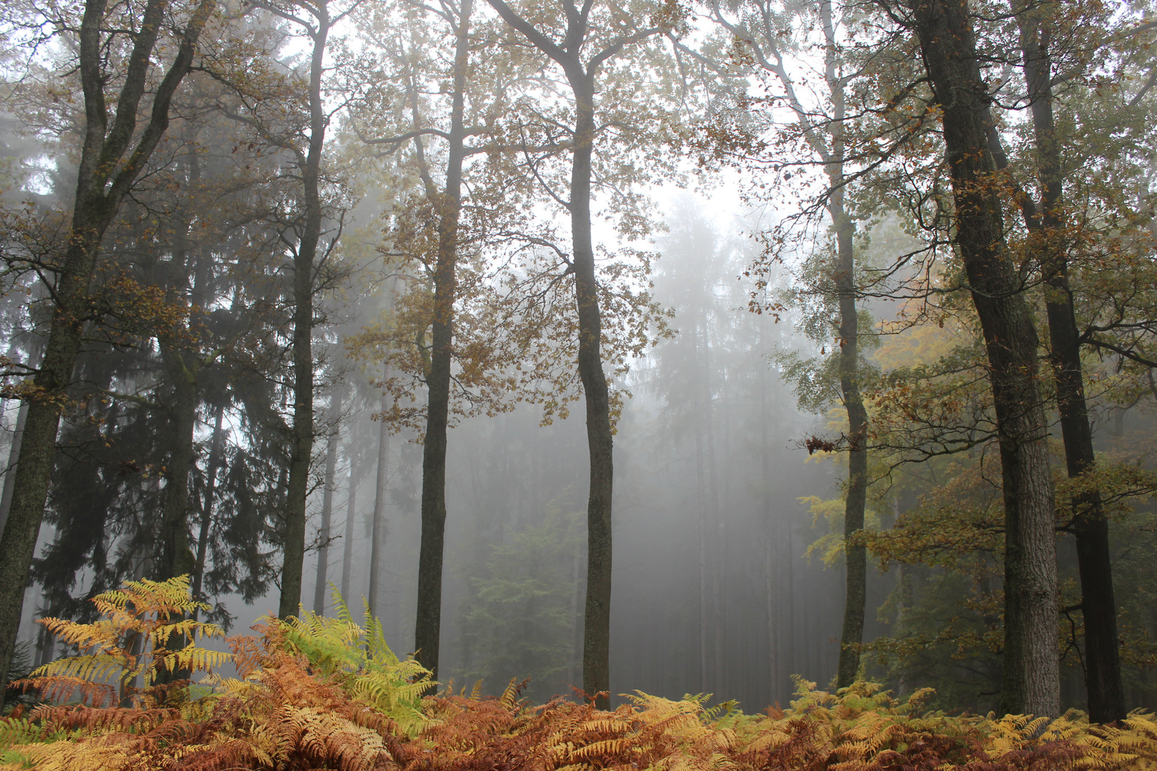 Herbstimpression