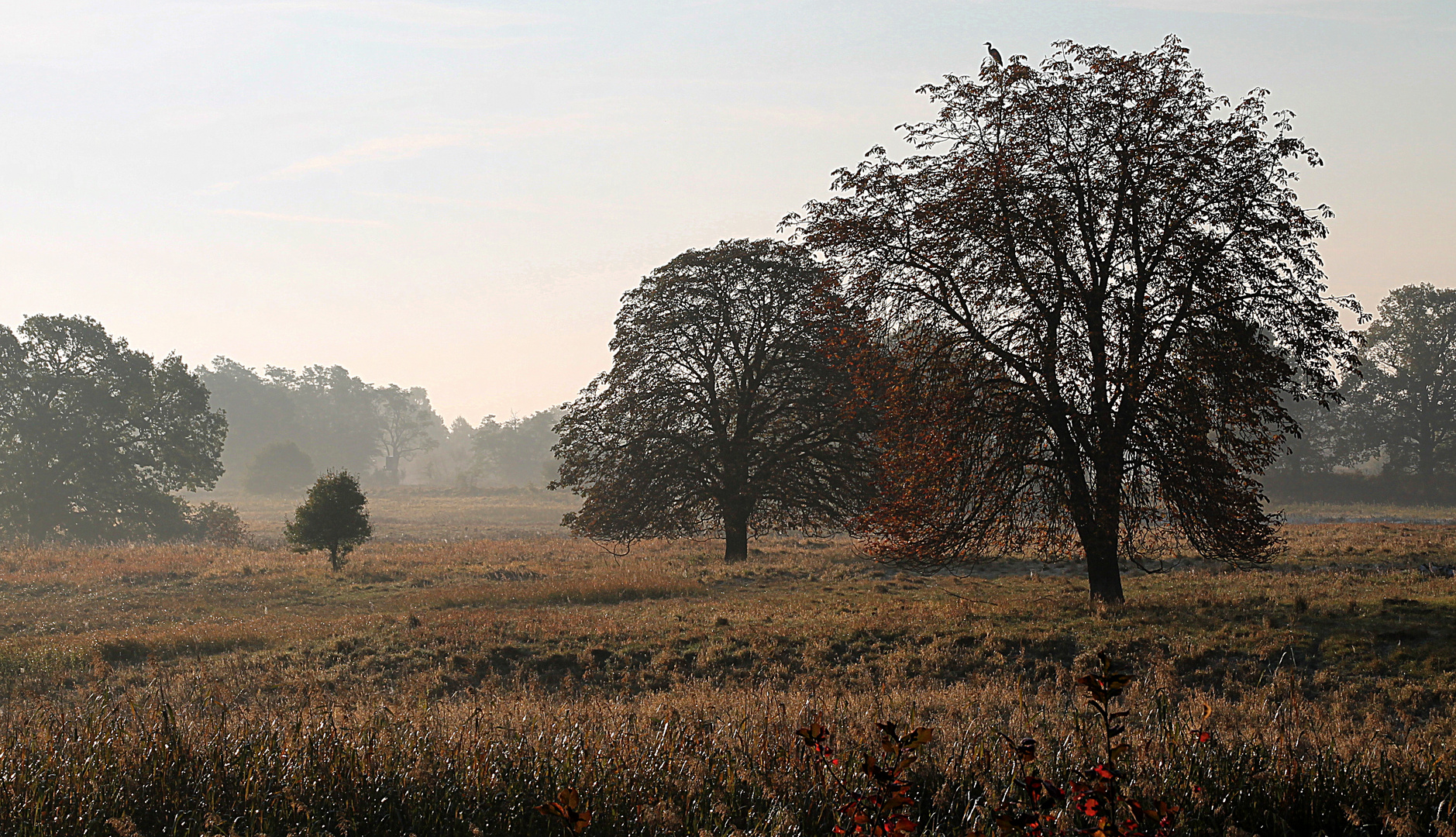 Herbstimpression