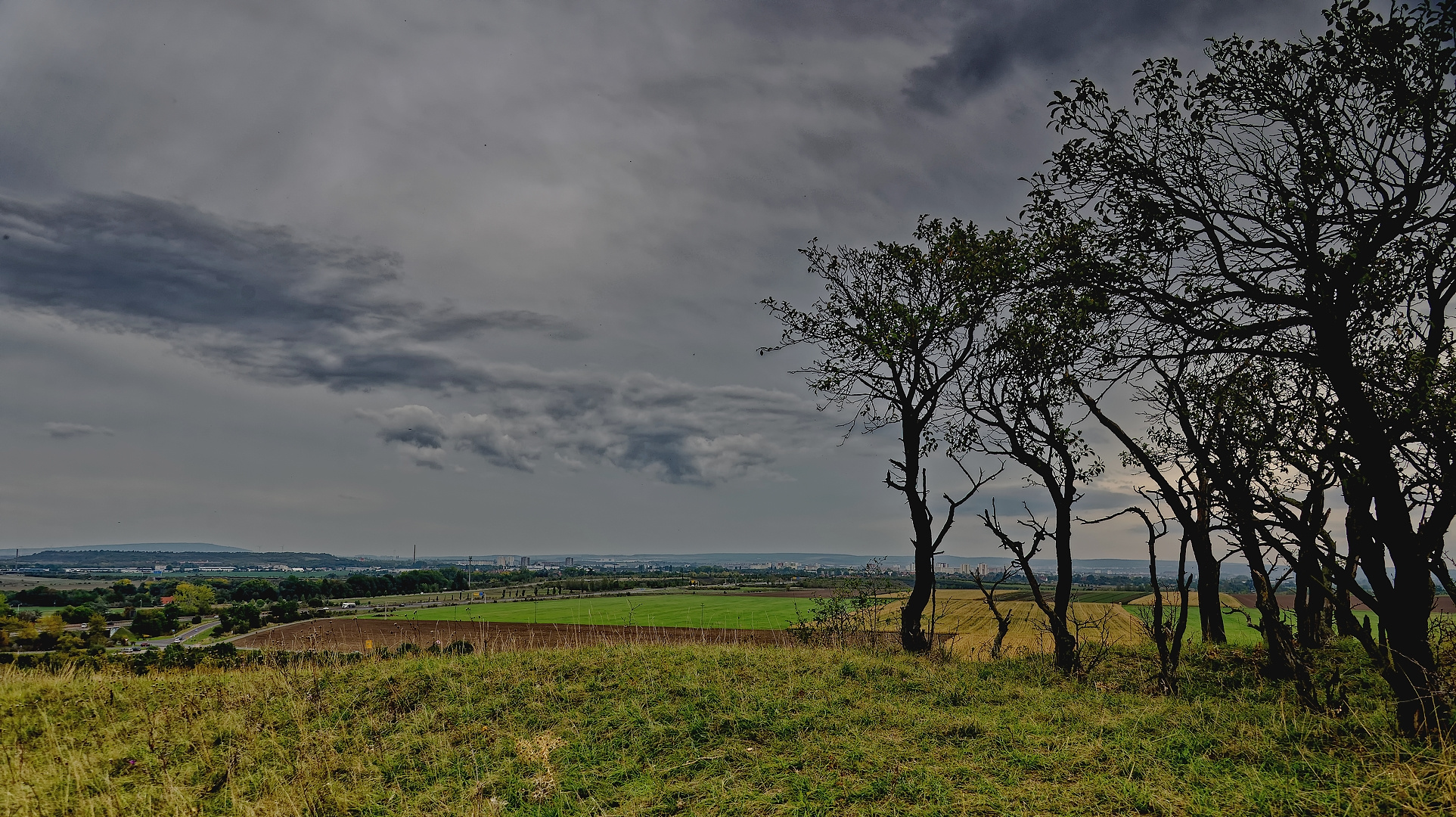 ...Herbstimpression ...