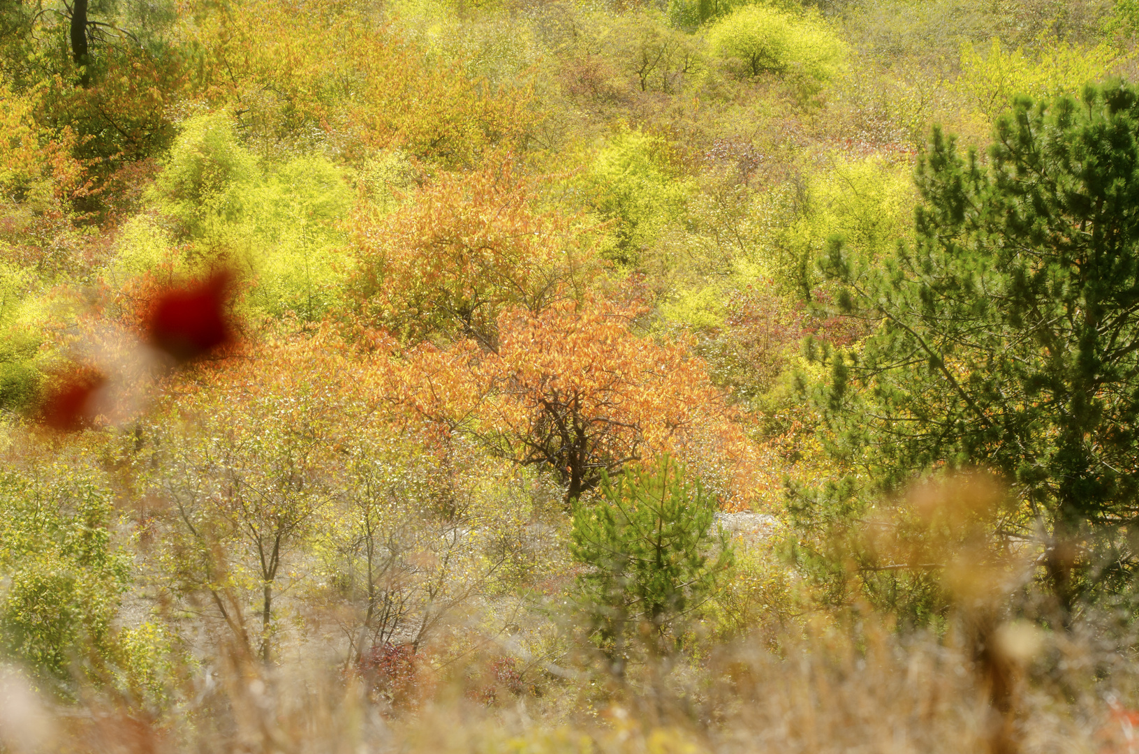 Herbstimpression