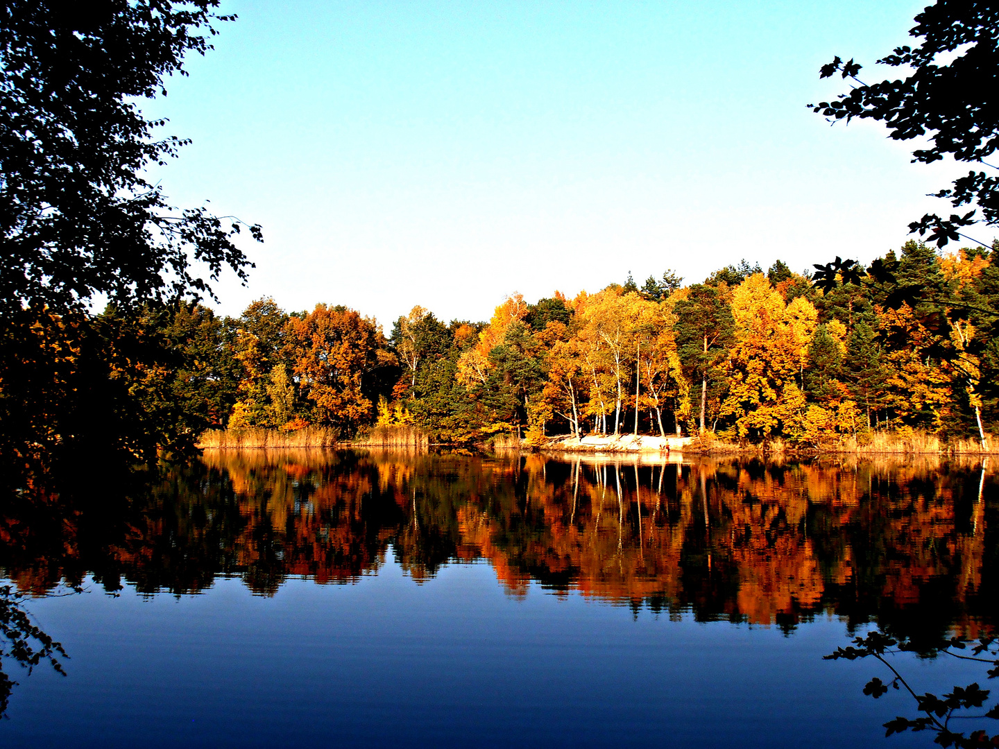 Herbstimpression