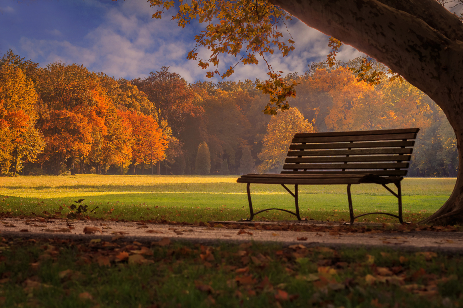 Herbstimpression 