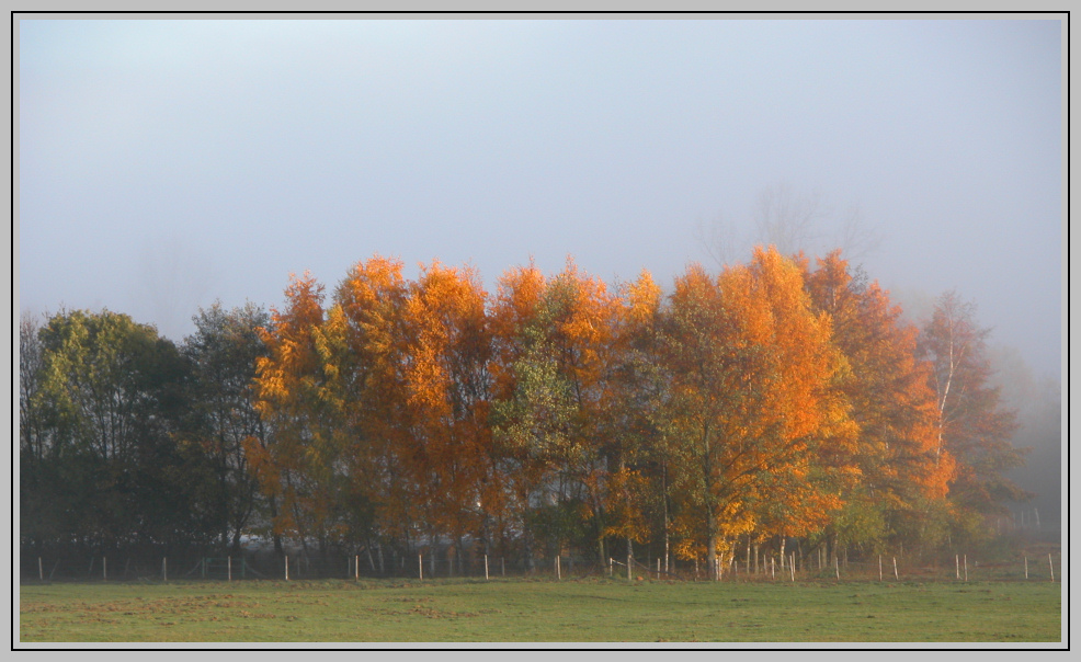 Herbstimpression