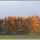 Herbstimpression