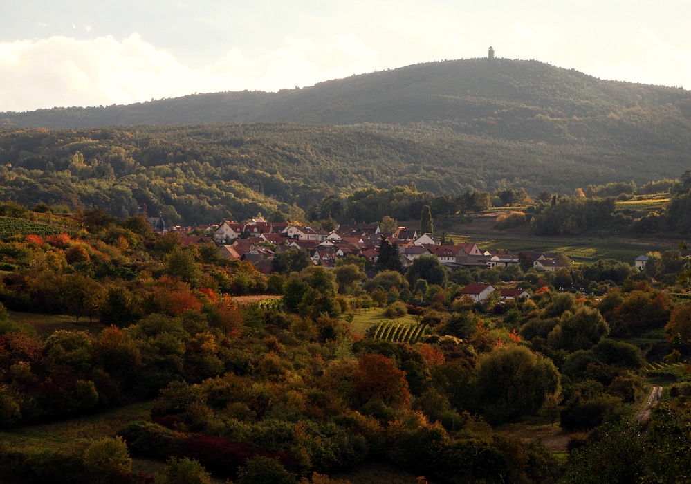 Herbstimpression