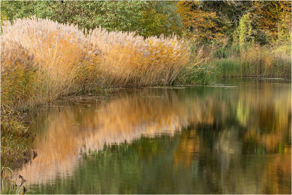 Herbstimpression ...