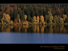 Herbstimpression