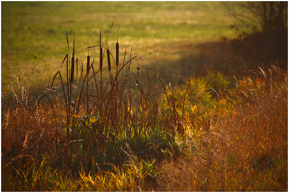 Herbstimpression