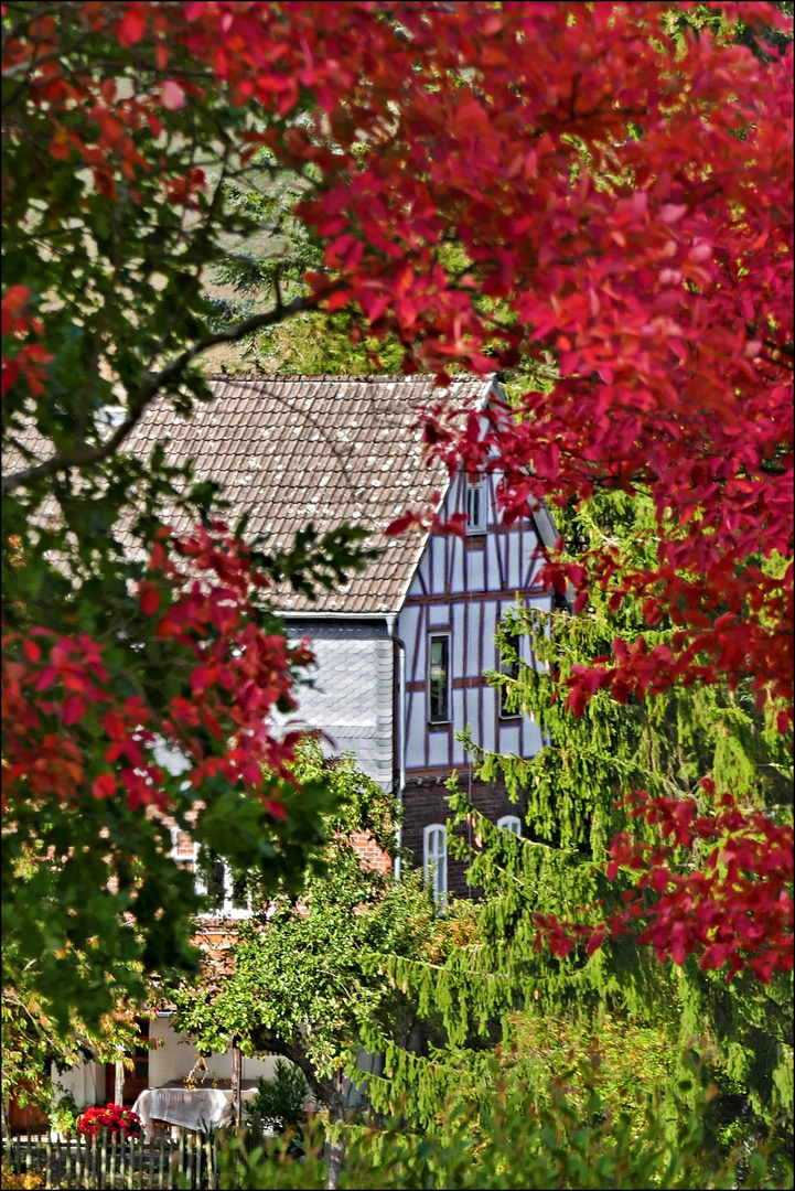 Herbstimpression