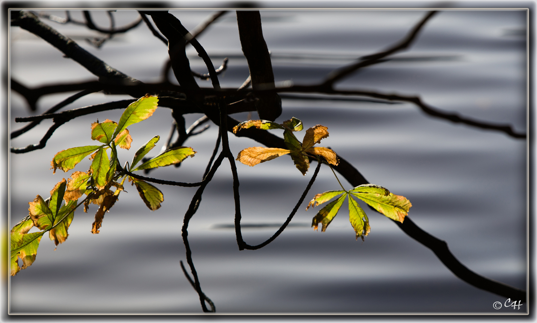 Herbstimpression am Kleinen Kiel