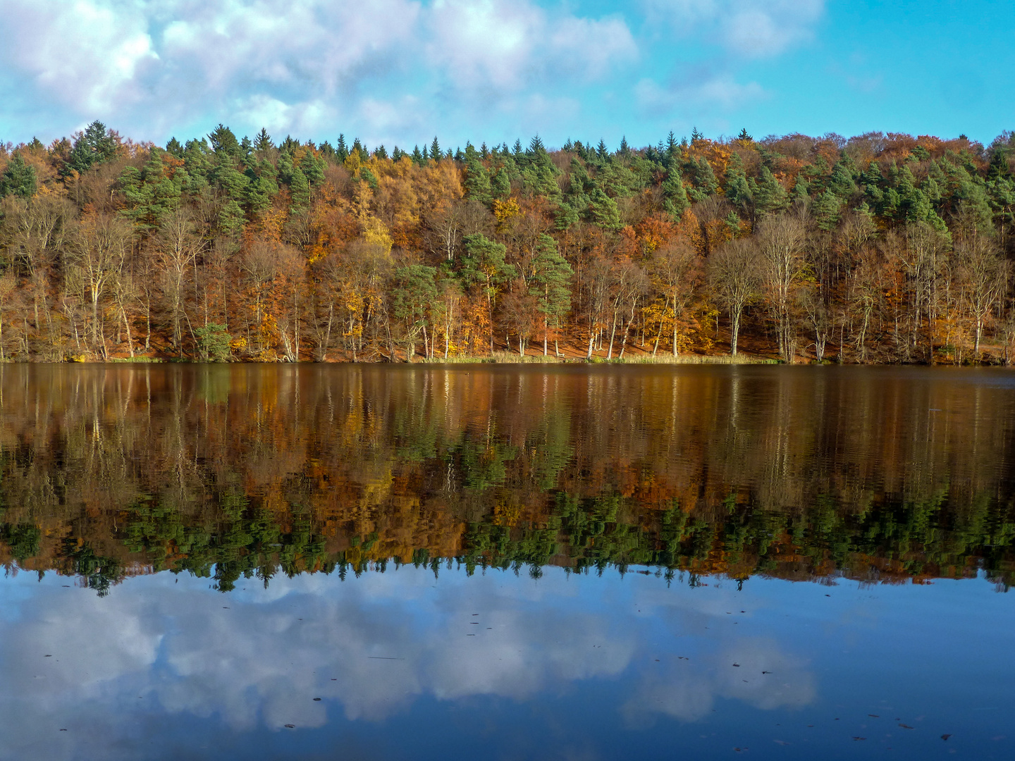 Herbstimpression am Schmalsee in Mölln 