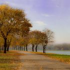 Herbstimpression am See