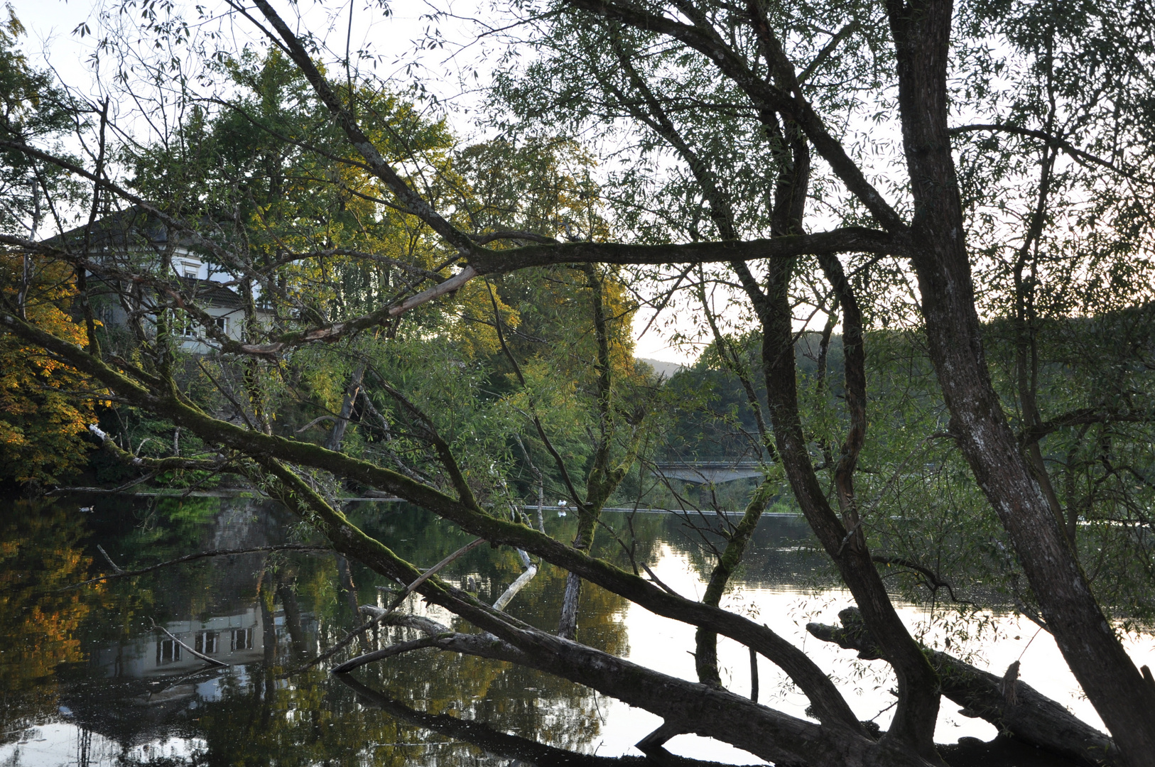 Herbstimpression am Siegwasserfall