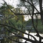 Herbstimpression am Siegwasserfall