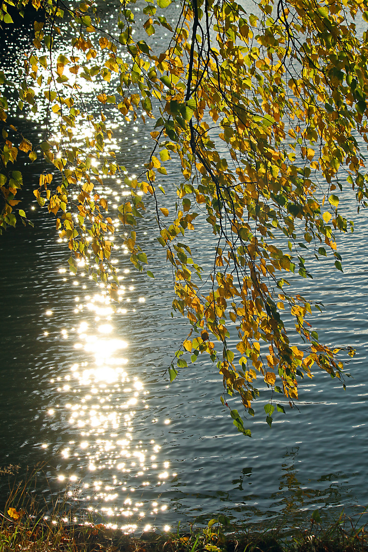 Herbstimpression am Teich