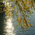 Herbstimpression am Teich