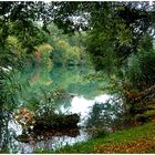 Herbstimpression am Woehrsee