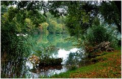 Herbstimpression am Woehrsee