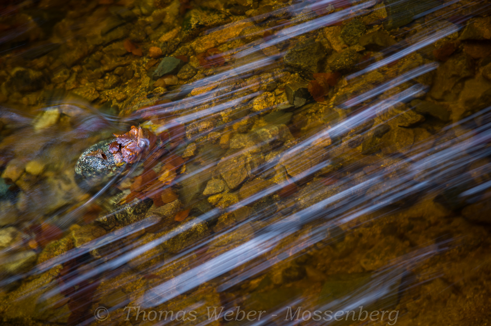 Herbstimpression an der Ilse im Harz