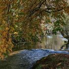 Herbstimpression an der Konstanzer Ach