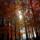 Herbstimpression auf dem Kandel