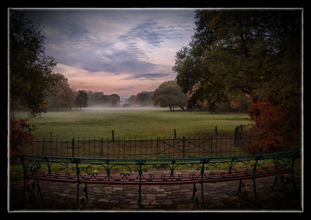 Herbstimpression aus dem Bürgerpark