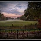 Herbstimpression aus dem Bürgerpark