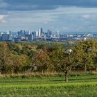 Herbstimpression aus dem Taunus